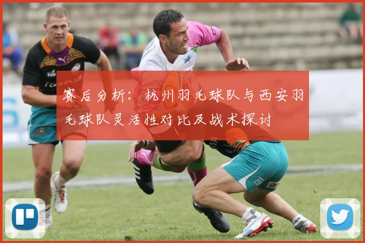 赛后分析：杭州羽毛球队与西安羽毛球队灵活性对比及战术探讨