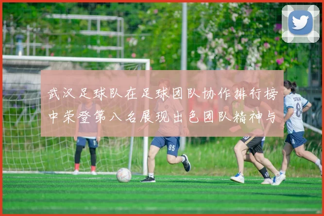 武汉足球队在足球团队协作排行榜中荣登第八名展现出色团队精神与实力
