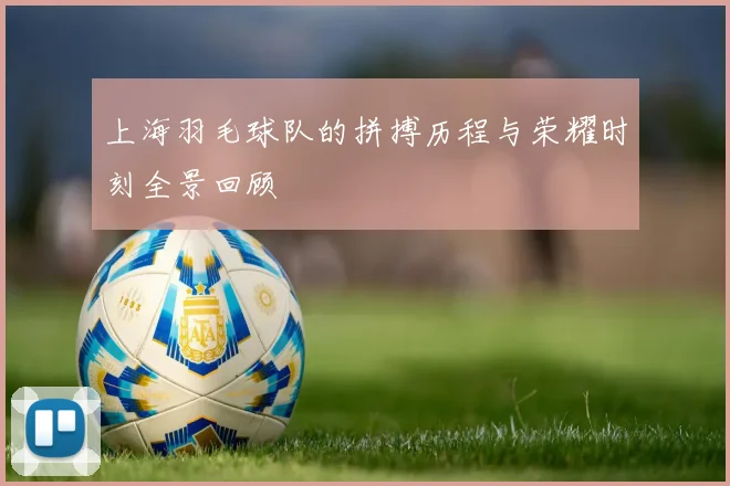 上海羽毛球队的拼搏历程与荣耀时刻全景回顾