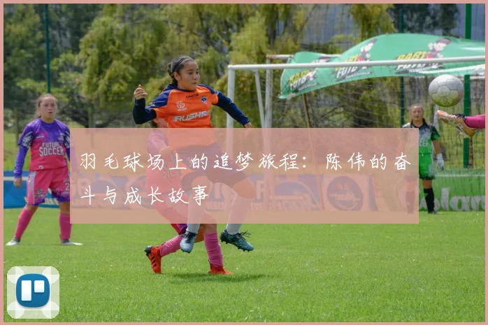 羽毛球场上的追梦旅程：陈伟的奋斗与成长故事