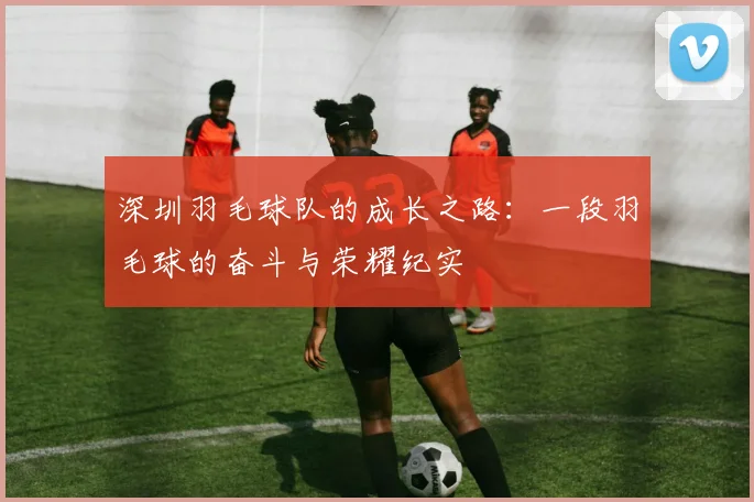 深圳羽毛球队的成长之路：一段羽毛球的奋斗与荣耀纪实