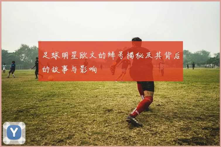 足球明星欧文的绰号揭秘及其背后的故事与影响