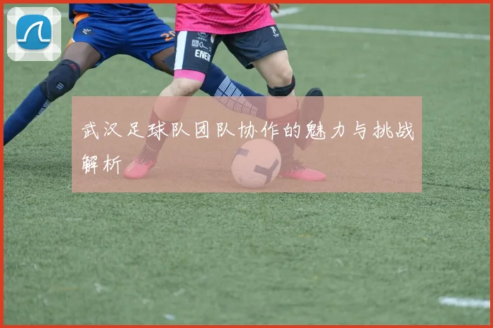 武汉足球队团队协作的魅力与挑战解析