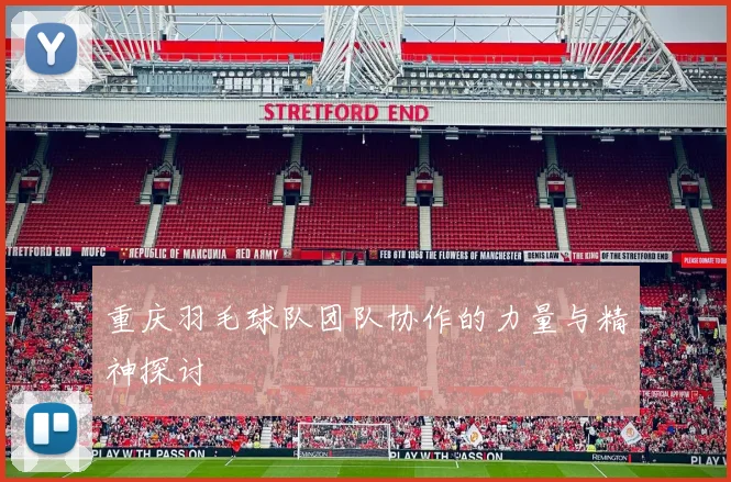 重庆羽毛球队团队协作的力量与精神探讨