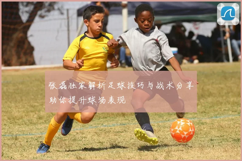 张磊独家解析足球技巧与战术分享助你提升球场表现
