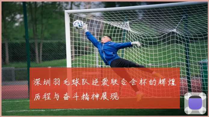 深圳羽毛球队逆袭联合会杯的辉煌历程与奋斗精神展现