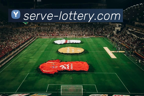 中国体彩平台生态图